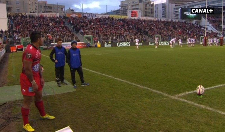 smith buteur