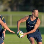 giteau_wallaby2