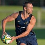 giteau_wallaby_illus